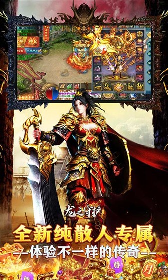 龙之守护超变之王(4)