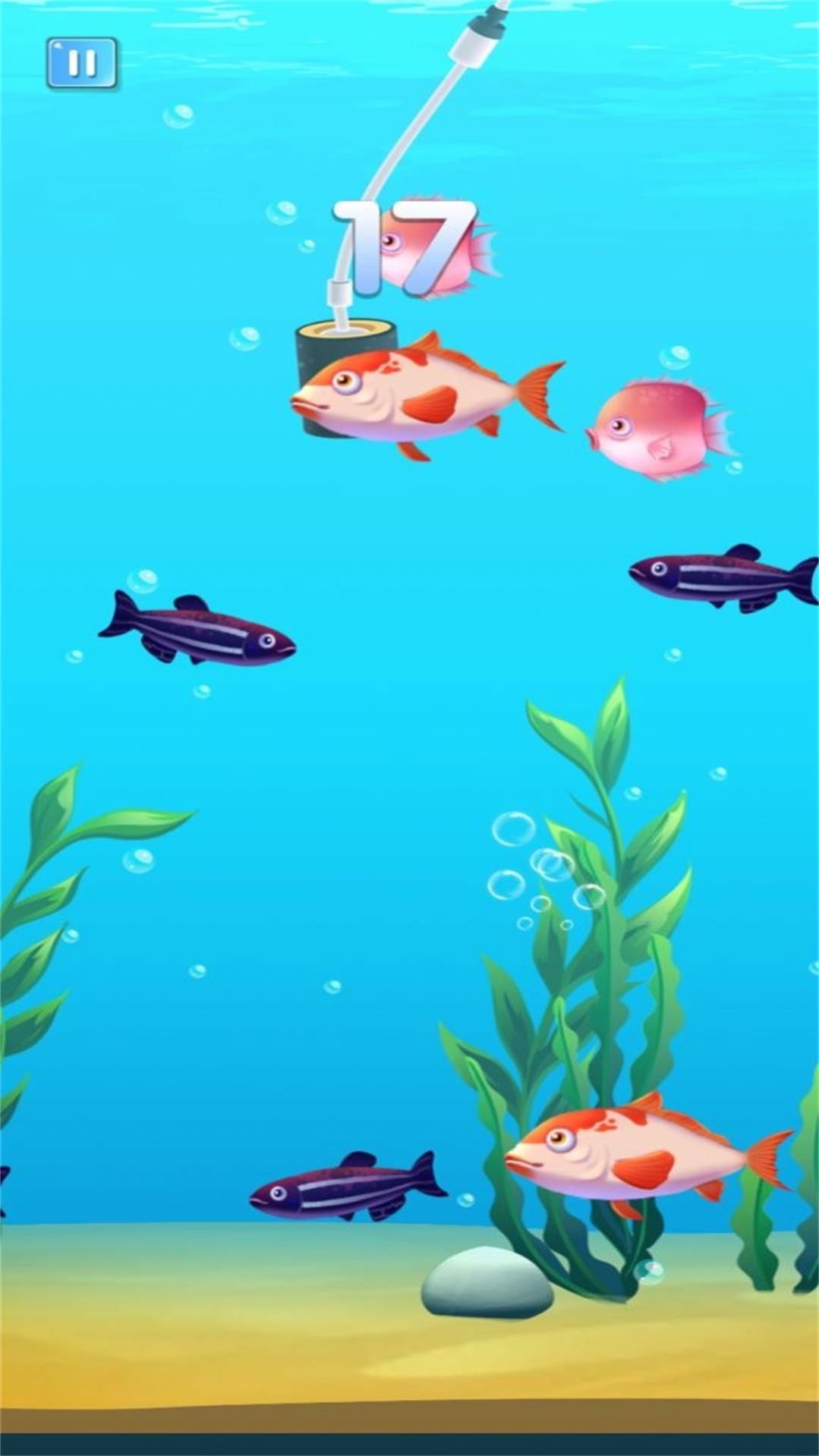 小鱼的吞食逆袭最新版图2