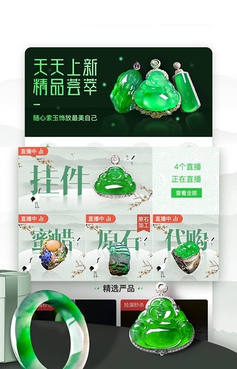 翡翠严品无广告版(3)