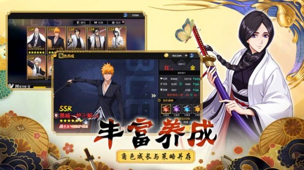 bleach刀剑领域游戏无广告版(3)