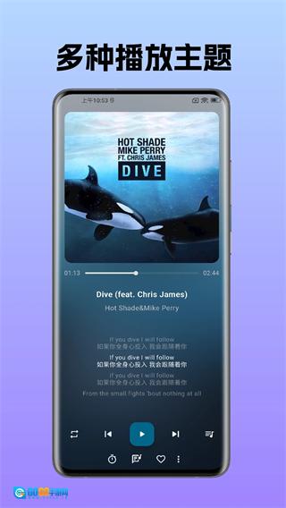 棉花音乐高级版图3
