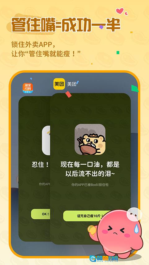 Bodii正版图5