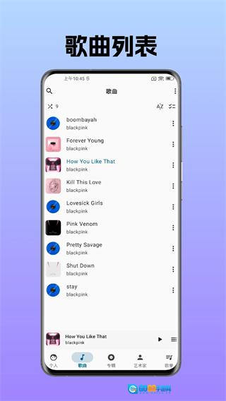 棉花音乐高级版图2