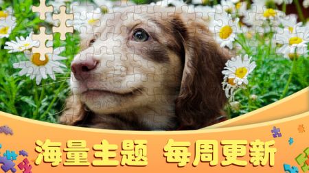 拼图大作战游戏纯净最新版图4