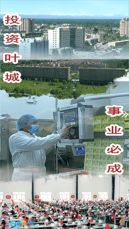 叶城好地方安卓官方版图3