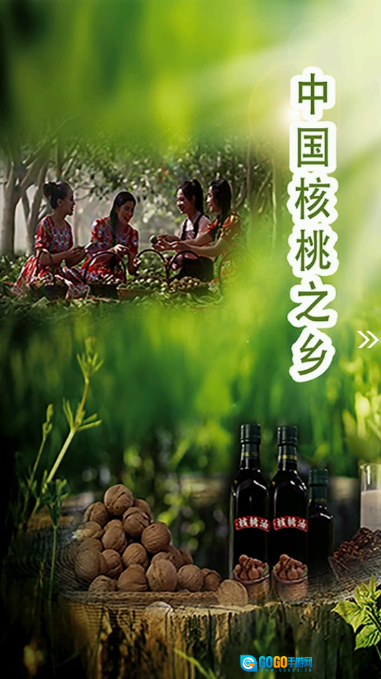 叶城好地方安卓官方版图2