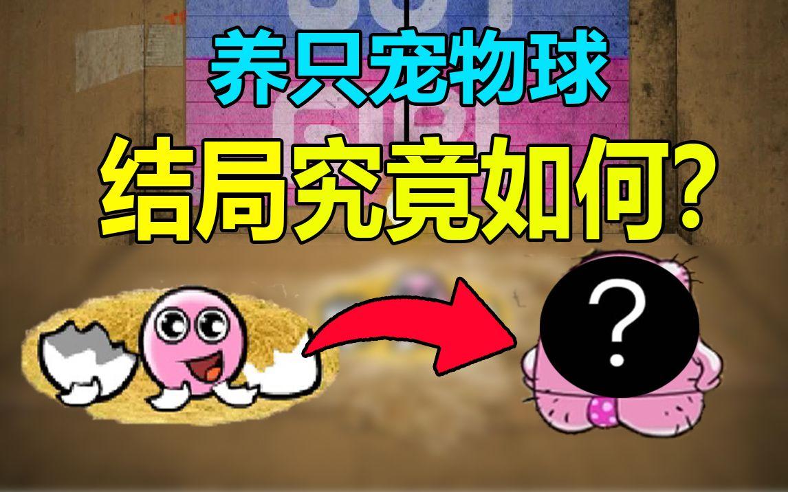 养只宠物球