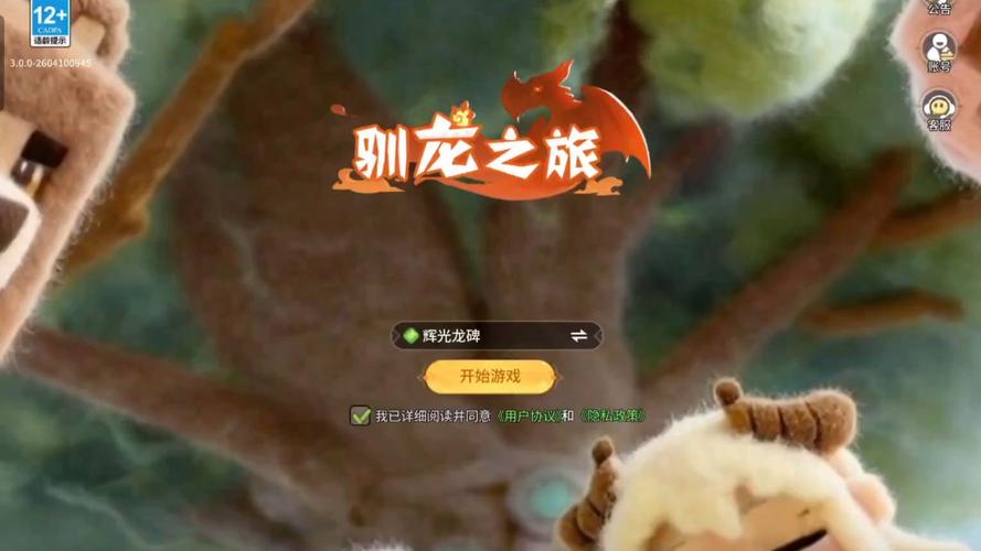 驯龙之旅