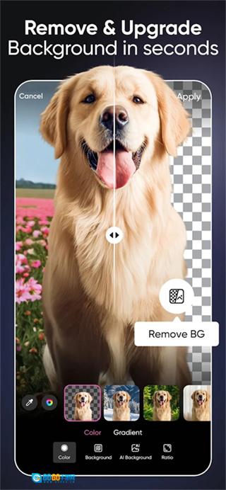 picsart美易正版图3