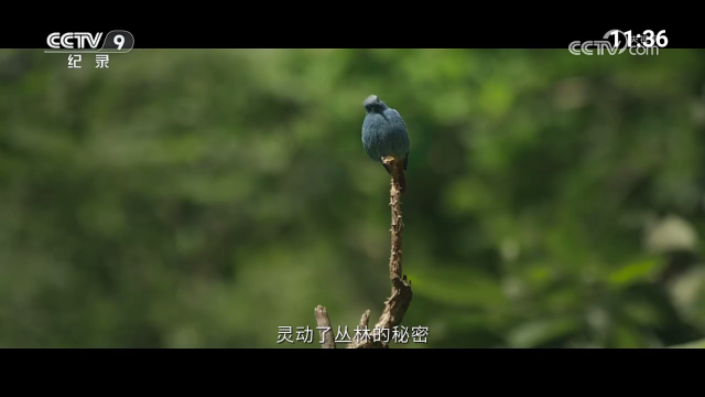 超的电视官方最新版图2