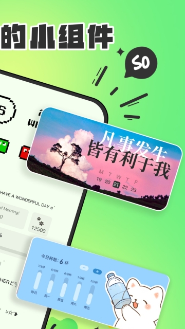SoWidgets直装版图3