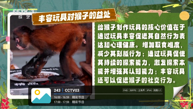全频播TV正版图1