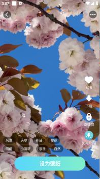 超清壁纸手机正版图4