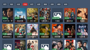 东岳TV最新免费版图2