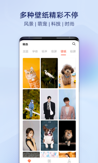 vivo主题商店软件官方正版图1