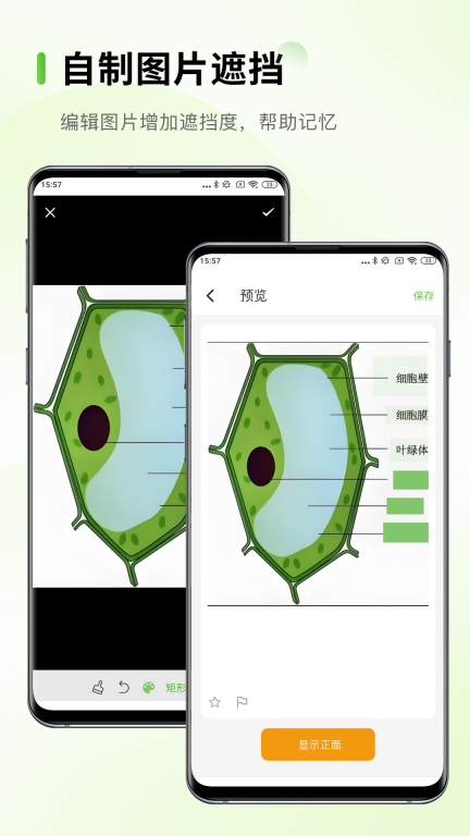 Anji记忆卡直装版图2