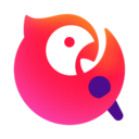 全民K歌手机版