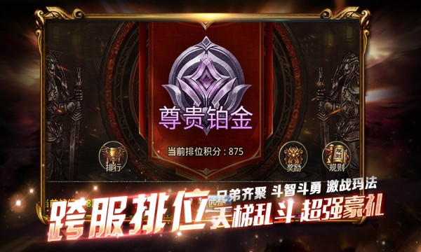 精装二合一传奇单职业图3