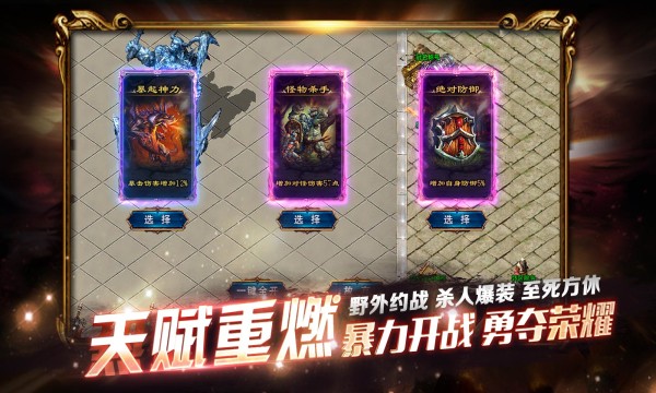 精装二合一传奇单职业图2