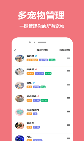 宠物王国官方正版图2