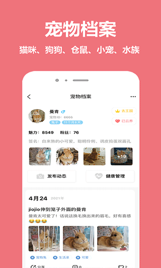 宠物王国官方正版图4