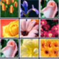 花花连连看手游版 V1.0