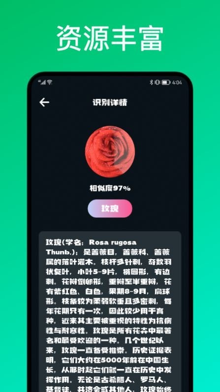 识花君植物识别最新版图4