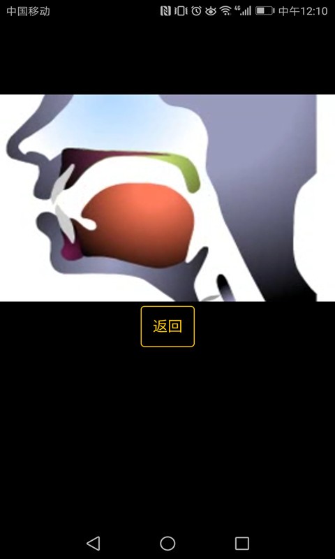 英语国际音标学习手机正版图3