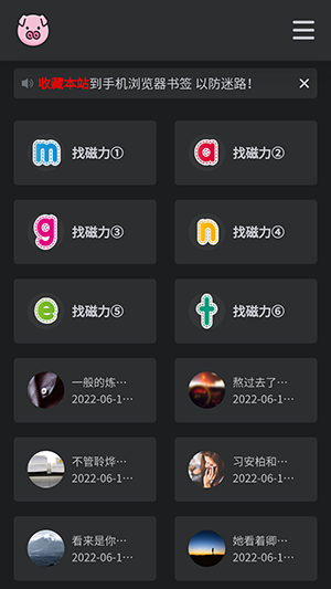 bt磁力猪手机版图1
