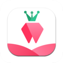 树莓小说阅读器安卓免费版 V1.2.1