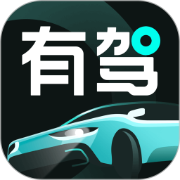 有驾安卓直装版 V2.38.0