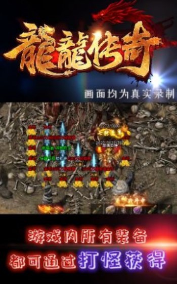 龙龙传奇游戏正版图3
