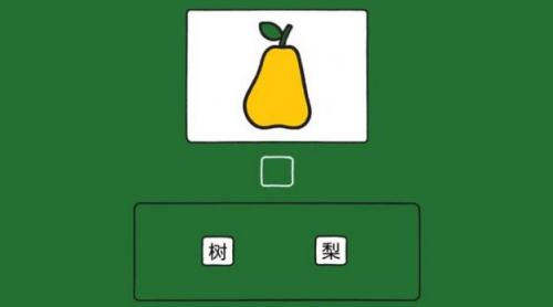miffy游戏纯净版(4)