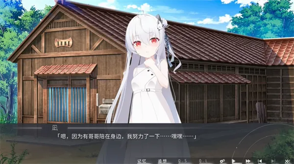 片方的祈愿(二次元美少女)免费原版图5
