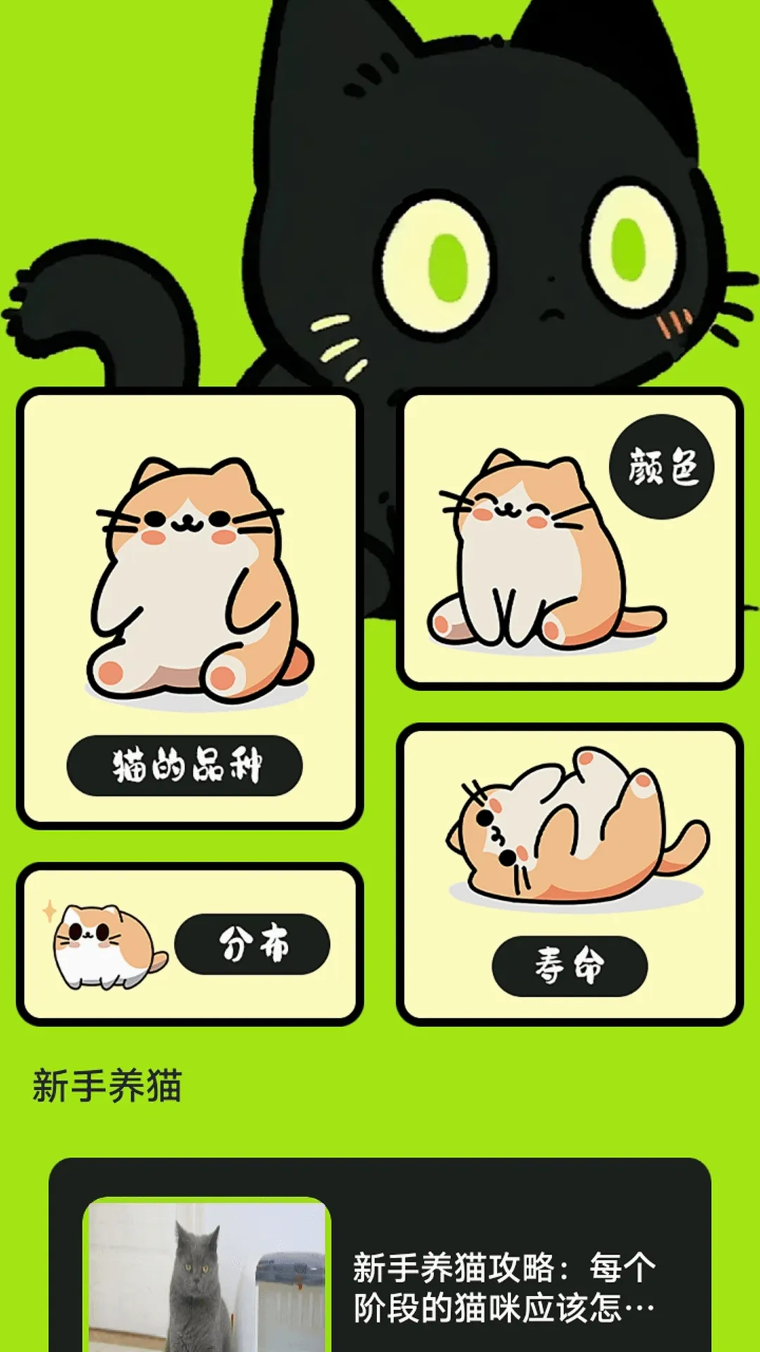 村庄叮叮猫(猫咪养宠助手)通用版图2