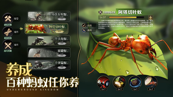 小小蚁国直装版(1)