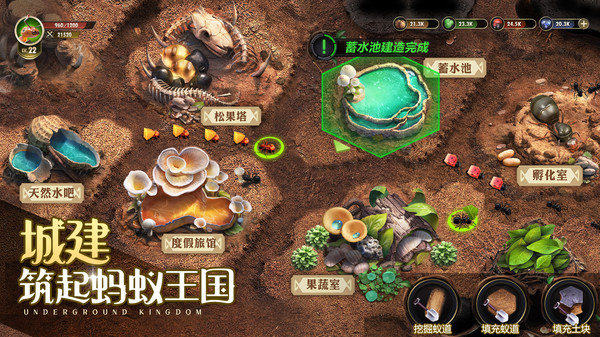 小小蚁国直装版(3)