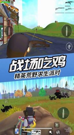 真实吃鸡模拟器免费原版(2)