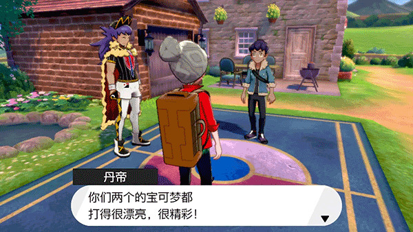 精灵宝可梦剑盾安卓直装版(5)