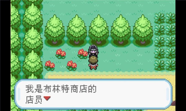 口袋妖怪火红叶绿官方版(2)