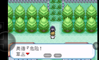 口袋妖怪火红萌版图1