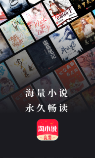 淘小说官方版(1)