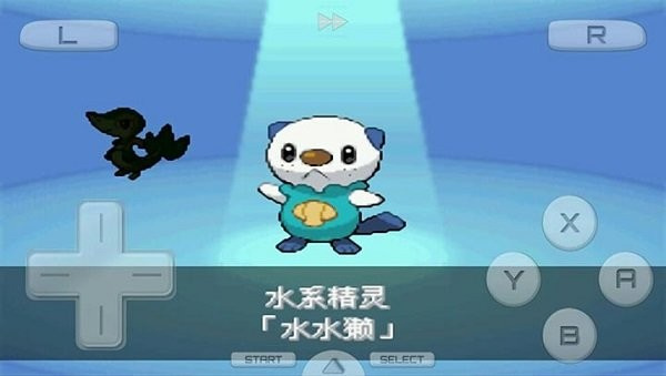 口袋妖怪黑2游戏安装包(2)