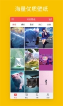 动态壁纸手机版图4