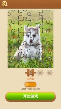 拼图大闯关安卓直装版图2