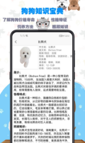 训狗教程官方版图3