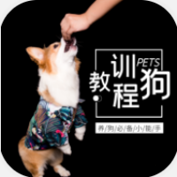 训狗教程官方版 V1.0.7