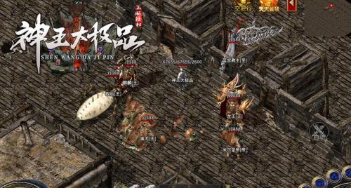神王大极品传奇图2