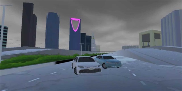 车辆驾驶模拟器游戏纯净最新版图2
