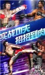 功夫之夜安卓直装版图1